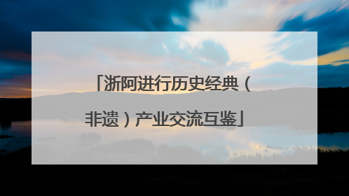 浙阿进行历史经典（非遗）产业交流互鉴